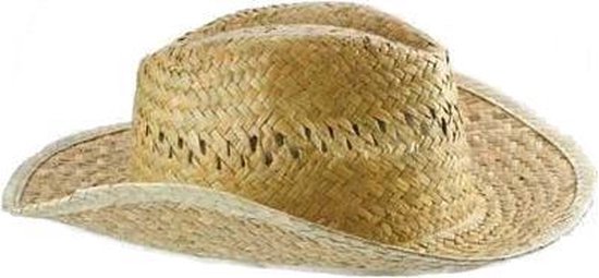 cowboy-hoed-stro-309zzw-1.jpg